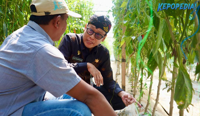 Kementan Apresiasi Penerapan Smart Farming Oleh Petani Milenial Pasuruan