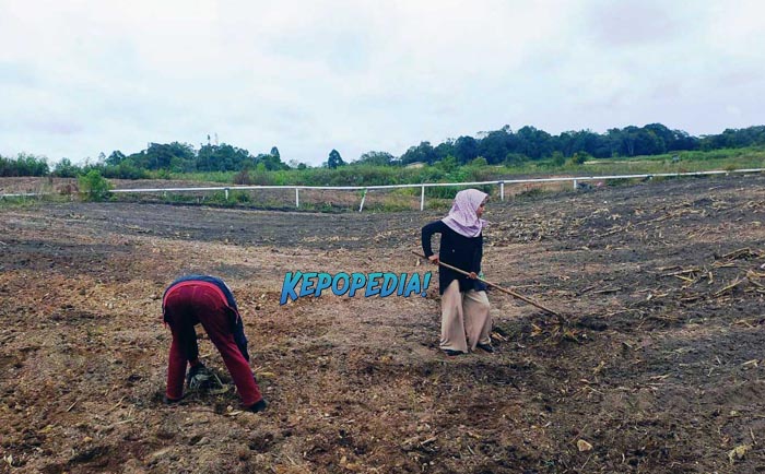 post-xl_37