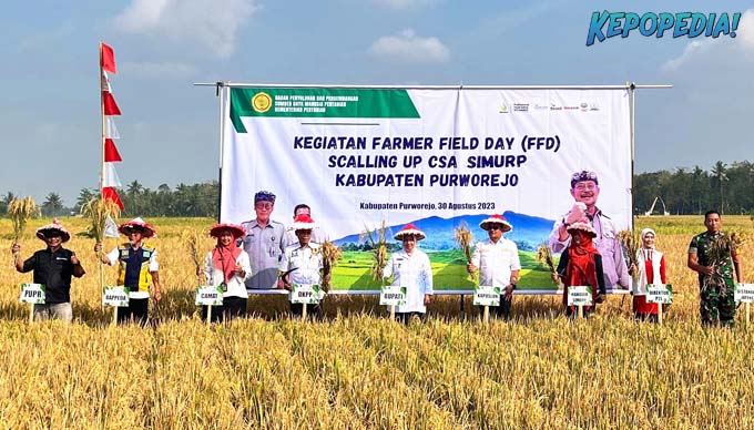 post-xl_37