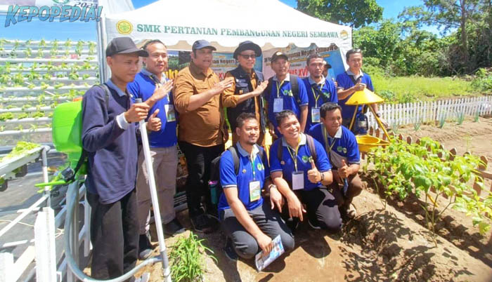 Pacu Produktivitas, SMKPP Kementan Terapkan Smart Farming Budidaya Cabai