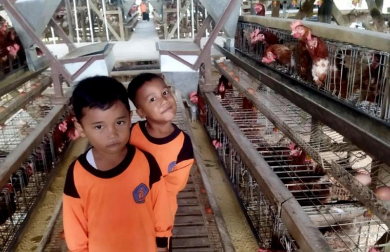 Cintai Sejak Dini, Agroeduwisata SMKPPN Kementan Dikunjungi Kelompok ...