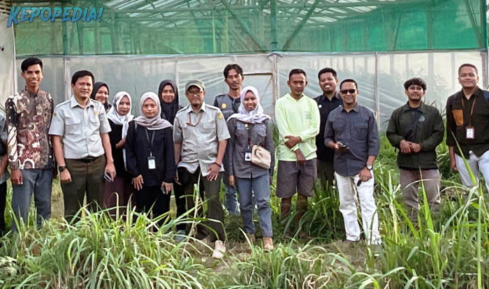 Petani muda Kalimantan Barat menggunakan aplikasi IoT untuk monitoring lahan gambut