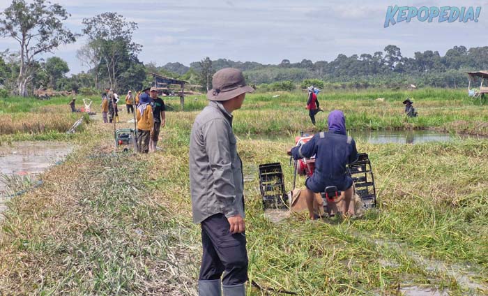 POLBANGTAN BOGOR: Direktur Polbangtan Bogor, Yoyon Haryanto mengatakan, Kementan melibatkan berbagai pihak untuk mendukun peningkatan produksi yakni Balai Wilayah Sungai Sumatera VI Jambi, Kodim 0415/Jambi, Babinsa Wilayah BP, Koordinator Penyuluh Kecamatan dan tim Brigade Pangan Kabupaten Muaro Jambi.