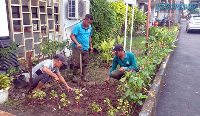 POLBANGTAN BOGOR: Direktur Yoyon Haryanto mengatakan  Gerakan ASRI dimaknai sebagai upaya membangun kesadaran kolektif. Keterlibatan aktif mahasiswa dan pegawai menunjukkan bahwa menjaga kebersihan, kerapian dan kenyamanan lingkungan kampus adalah tanggung jawab bersama.