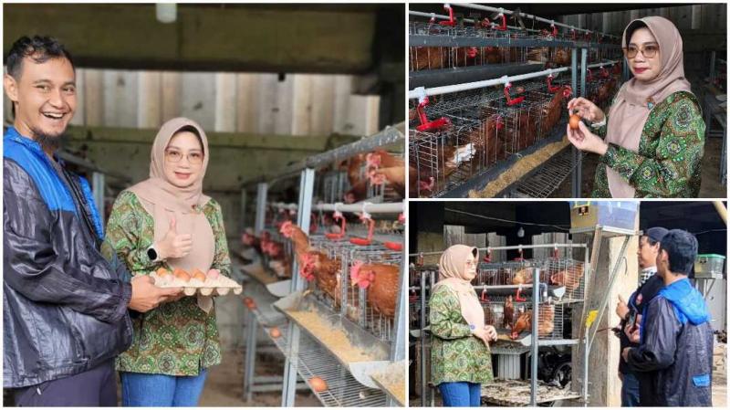 BBPKH CINAGARA: Kepala BBPKH Cinagara, Inneke Kusumawaty mengapresiasi keberhasilan jurnalis televisi dari Ikatan Jurnalis Televisi Indonesia (IJTI) mengembangkan ternak ayam petelur Agrijurno di Kota Depok, setelah mengikuti pelatihan di BBPKH Cinagara pada Desember 2025.
