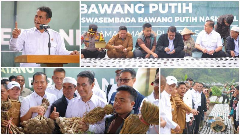 BBPP BATANGKALUKU: Kunjungan kerja Mentan Amran Sulaiman pada lokasi budidaya bawang putih di Sembalun, NTB menegaskan keseriusan pemerintah mendorong swasembada, menindaklanjuti arahan Presiden RI Prabowo Subianto bahwa percepatan dilakukan tanpa perlu menunggu birokrasi panjang.