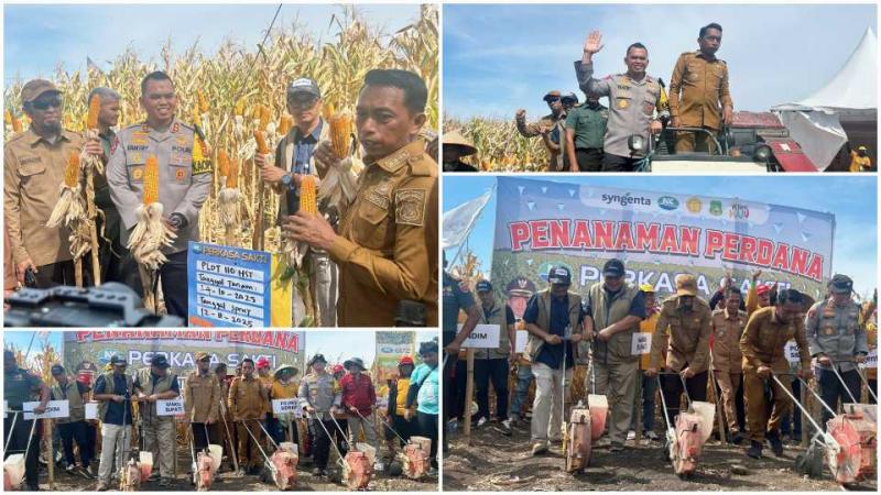BBPP BATANGKALUKU: Kepala BBPP Batangkaluku Jamaluddin Al Afgani mendukung peningkatan produksi jagung di Sulsel, khususnya Kabupaten Sidrap, sejalan arahan Mentan Amran Sulaiman bahwa peningkatan produksi jagung menjadi bagian penting agenda swasembada pangan nasional.