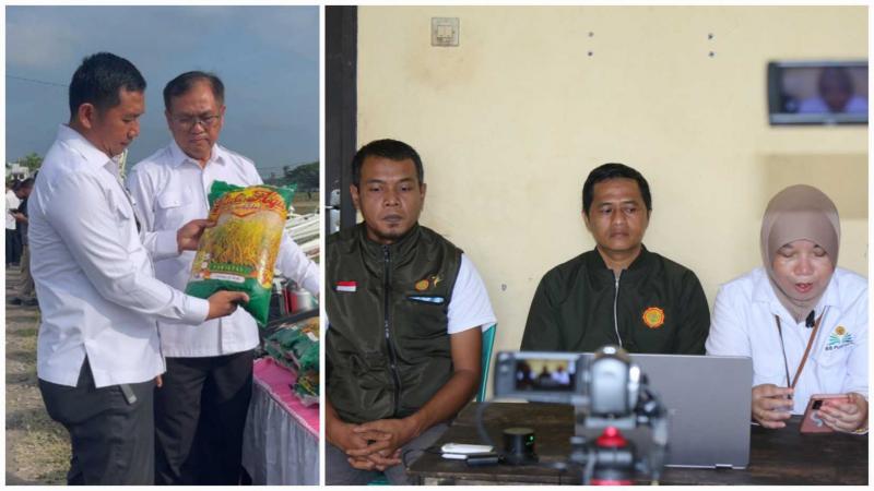 BB PUSTAKA: Kepala BB Pustaka, Eko Nugroho mengatakan pemerintah melalui Kementan memperkuat langkah strategis dengan menggandeng Perum Badan Urusan Logistik (Bulog) menyerap gabah petani, bahkan untuk berbagai kualitas. Sinergi yang kuat diyakini mampu meningkatkan produktivitas dan memperkuat ketahanan pangan.