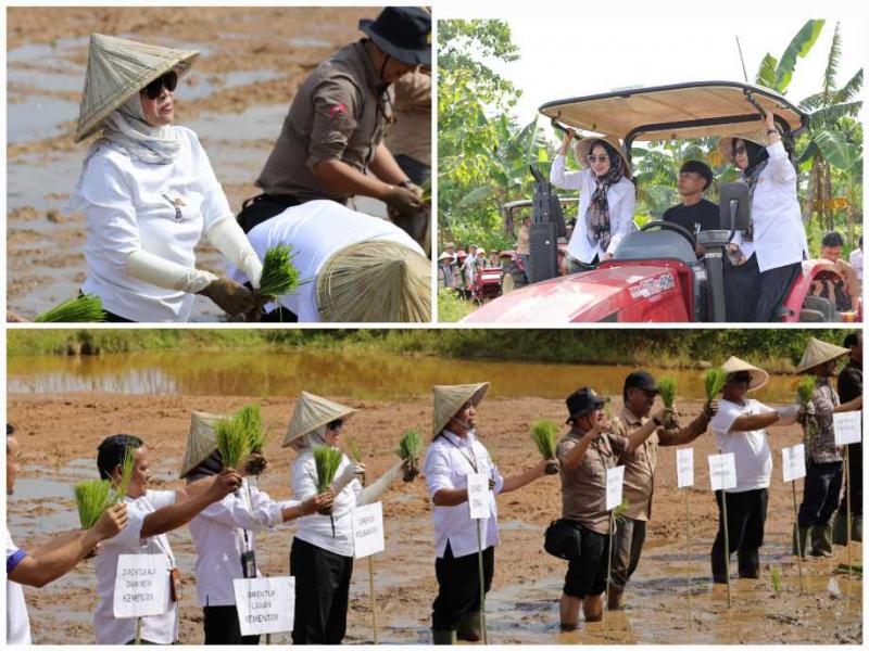 BBPP BATANGKALUKU: Kepala BBPP Batangkaluku, Jamaluddin Al Afgani mendampingi Bupati Gowa, Sitti Husniah Talenrang [kiri atas] pada kegiatan tanam bersama, menunjukkan kolaborasi erat antara pemerintah pusat dengan daerah dan petani, bagi pencapaian swasembada pangan.