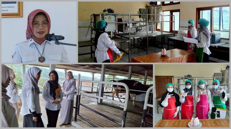 BBPKH CINAGARA: Kepala BBPKH Cinagara, Inneke Kusumawaty [kiri atas] mengatakan penerapan NKV di BBPKH Cinagara dirancang sebagai sistem terintegrasi. Dimulai dari sektor hulu, pengelolaan peternakan dilakukan dengan standar ketat, mulai kebersihan kandang, pengelolaan limbah, kesehatan hewan hingga penggunaan pakan aman.