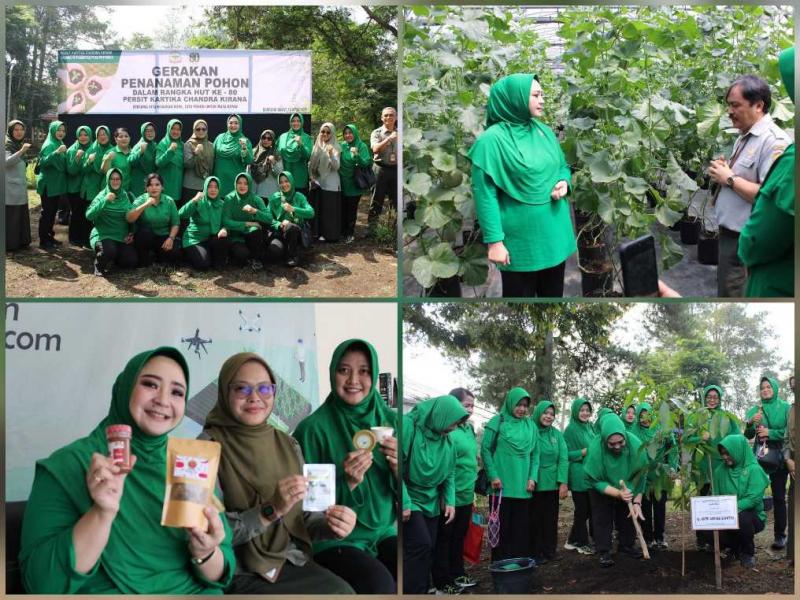 BBPP LEMBANG: Rombongan Persit yang dipimpin Ketua Persit KCK Cabang VI Pusdikter, Astri Andree Saputro disambut oleh manajemen BBPP Lembang mewakili Kepala BBPP Lembang, Ajat Jatnika, untuk membuka wawasan tentang sektor pertanian mulai dari budidaya hingga pengolahan hasil.