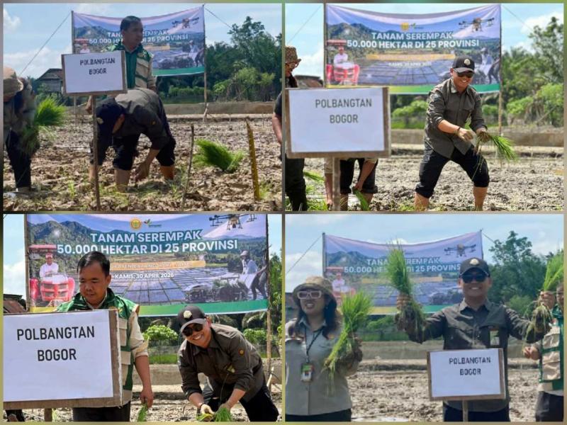 POLBANGTAN BOGOR: Direktur Yoyon Haryanto selaku PJ Provinsi Jambi bersama petani, penyuluh dan Brigade Pangan serta Forkopimda Pemprov Jambi dan Pemkab Batanghari melakukan Gertam Serempak di Desa Selat, Kecamatan Pemayung, Kabupaten Batanghari seluas 45 hektar dalam kategori Oplah) 2024.