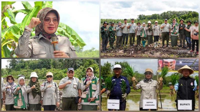 BBPKH CINAGARA: Kepala BBPKH Cinagara, Inneke Kusumawaty selaku PJ Brigade Pangan Sumsel mengatakan kehadiran Kementan menjadi bagian penting, untuk memastikan pelaksanaan Gertam Serempak berjalan efektif, terukur dan sesuai standar teknis budidaya.