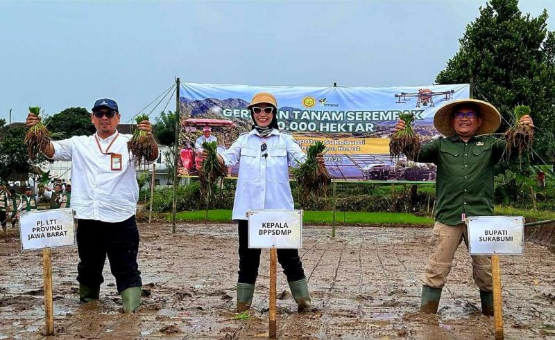 BBPKH CINAGARA: Kepala BPPSDMP Kementan, Idha Widi Arsanti [tengah] pada kegiatan tanam yang dipusatkan di Kabupaten Sukabumi, Jabar yang dilaksanakan serentak bagi sejumlah wilayah pada lokasi Oplah 2024 dan 2025 serta lahan CSR 2025.