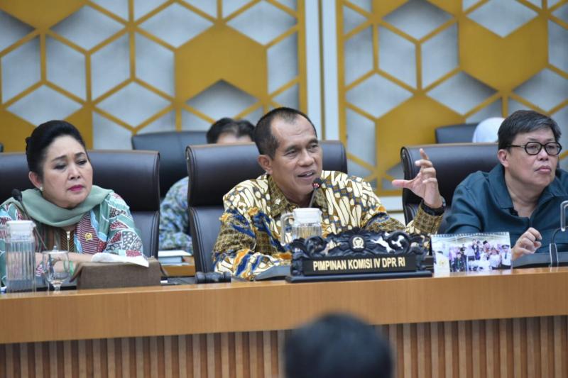 BB PUSTAKA: Wakil Ketua Komisi IV DPR RI Abdul Kharis Almasyhari mengatakan berbagai tantangan seperti perubahan iklim, cuaca ekstrem, hingga dinamika ekonomi dunia memang harus diantisipasi, namun tidak boleh menjadi alasan untuk meragukan kemampuan petani Indonesia. 