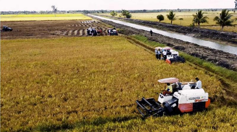 BB PUSTAKA: Mentan Amran Sulaiman menegaskan bahwa program tersebut telah memberikan dampak nyata bagi masyarakat Papua. Salah satunya adalah perbaikan ketersediaan pangan yang berdampak pada stabilitas harga beras.