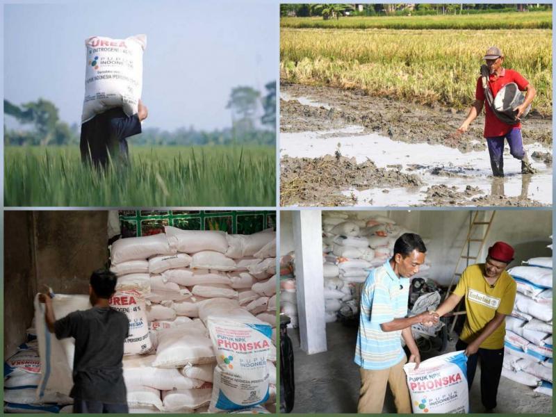 BBPP BATANGKALUKU: Mentan Amran Sulaiman mengatakan penurunan Harga Eceran Tertinggi (HET) pupuk subsidi sebesar 20% telah berlaku sejak 22 Oktober 2025, yang pertama sepanjang sejarah Indonesia, mencakup seluruh jenis pupuk bersubsidi, sehingga petani tetap mampu untuk menanam padi.