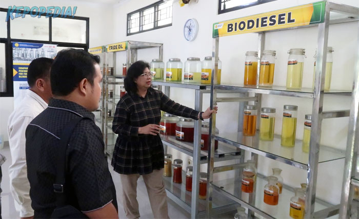 BB PUSTAKA: Kepala BRMP TRI, Evi Savitri Iriani menerima kunjungan Ketua Komisi B DPRD Kabupaten Batang Hari, Syuqron, beserta anggota Komisi B, untuk mengetahui proses dan mendapat penjelasan tentang proses pengolahan biodiesel berbasis bahan baku nabati.