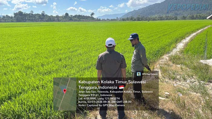 BBPP BATANGKALUKU: Kepala BBPP Batangkaluku, Jamaluddin Al Afgani [kanan] melakukan monitoring lapangan pada penerapan PM-AAS, menjadi langkah penting untuk memastikan seluruh tahapan budidaya berjalan sesuai rekomendasi teknis, sekaligus memastikan target peningkatan produksi pangan dapat tercapai.