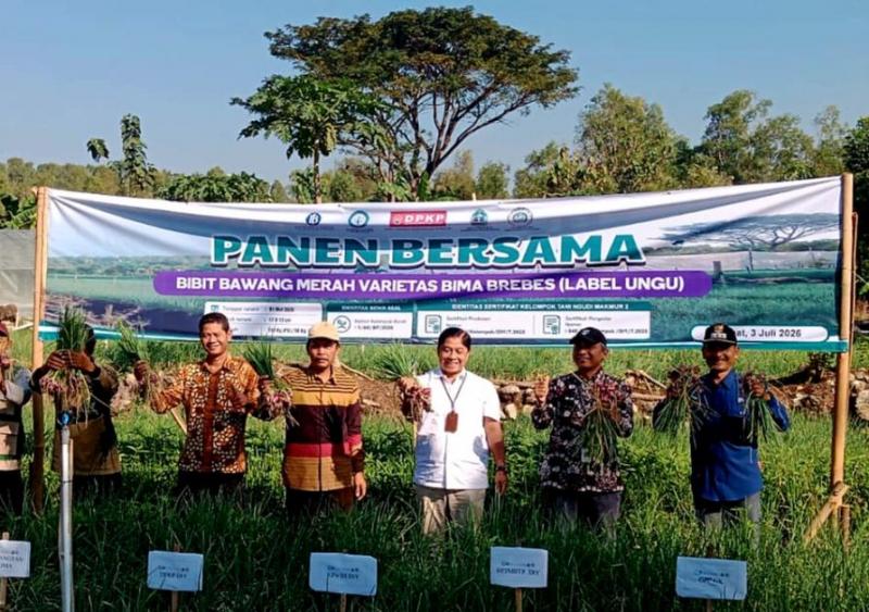 POLBANGTAN YOMA: Direktur R Hermawan mengatakan pendampingan untuk meningkatkan kemampuan petani memproduksi benih bawang merah bermutu dan bersertifikat sehingga mampu memenuhi kebutuhan benih secara mandiri. Petani bawang Poktan Ngudi Makmur II di Kabupaten Gunungkidul, DIY berhasil memanen benih bawang merah varietas Bima Brebes berlabel ungu, belum lama ini.