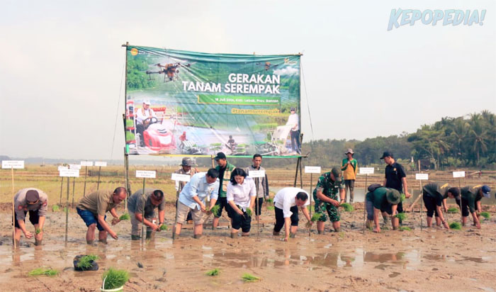 BB PUSTAKA: Kepala BB Pustaka, Eko Nugroho D.P. [tengah]  mengatakan di Provinsi Banten, semangat Gertam menggema melalui pelaksanaan tanam padi serempak yang melibatkan berbagai unsur pertanian, mulai dari petani, penyuluh, Brigade Pangan hingga pemerintah daerah.