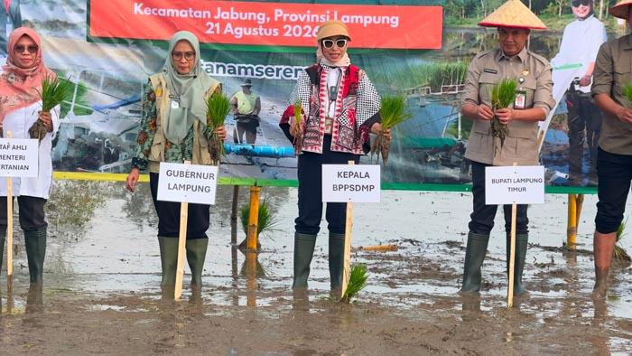 BB PUSTAKA: Kepala BPPSDMP Kementan, Idha Widi Arsanti [tengah] di  Kecamatan Jabung, Kabupaten Lampung Timur, Provinsi Lampung, memimpin Gertam Serempak 25 provinsi pada lokasi Optimalisasi Lahan (Oplah) Tahun 2024 dan 2025 serta lahan Cetak Sawah Rakyat (CSR) Tahun 2025, agar segera berproduksi dan memberikan kontribusi terhadap peningkatan produksi pangan nasional.