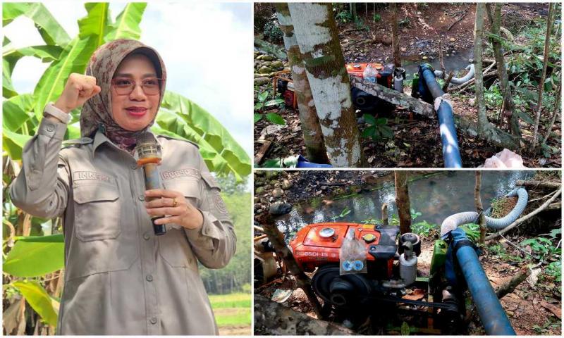 BB PUSTAKA: Plt Kepala BB Pustaka, Inneke Kusumawaty [kiri] mengatakan sebagai upaya membantu petani Pandeglang menghadapi kekeringan, Kementan mendukung pemanfaatan pompa air untuk mengalirkan air menuju lahan pertanian yang membutuhkan. Pompa berukuran 3 inci dan 4 inci atau lebih, disesuaikan kebutuhan dan kondisi sumber air di lapangan.