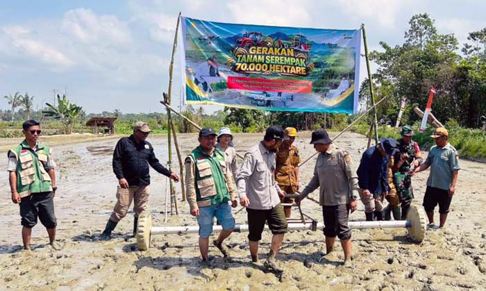 BBPP BATANGKALUKU: Kepala BBPP Batangkaluku, Jamaluddin Al Afgani selaku PJ Swasembada Pangan Sultra menguji coba drum seeder seusai memimpin kegiatan Gertam Serempak Sultra di Kabupaten Konawe seraya mengawal Gertam Serempak via daring dengan Kepala BPPSDMP Kementan, Idha Widi Arsanti di Kabupaten Langkat, Sumut.