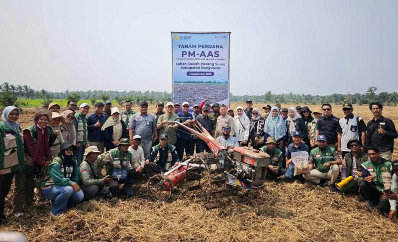 SMKPPN SEMBAWA: Kepala SMKPPN Sembawa, Budi Santoso [tengah] seusai Tanam Bersama metode PM-AAS dan Benih Biosalin di di Desa Kualo Puntian, Kabupaten Banyuasin, Sumsel bersama petani, penyuluh dan para pemangku kepentinga dan Brigade Pangan.