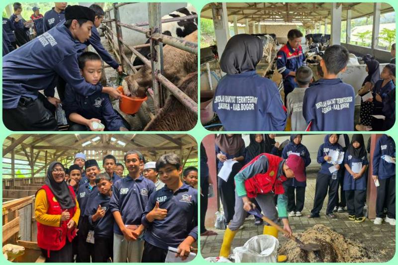 BBPKH CINAGARA: Kepala BBPKH Cinagara, Inneke Kusumawaty mengatakan peserta Farmtastic! mengikuti tiga rangkaian pembelajaran yakni Farm Explorer, Milk Venturer dan Grow and Glow, yang menawarkan pengalaman edukasi dengan pendekatan pemeliharaan dan menjaga kesehatan hewan, mengenal proses pengolahan susu hingga menjadi produk pangan pengalaman mengenal tanaman, pertanian dan pemanfaatan lingkungan secara produktif.