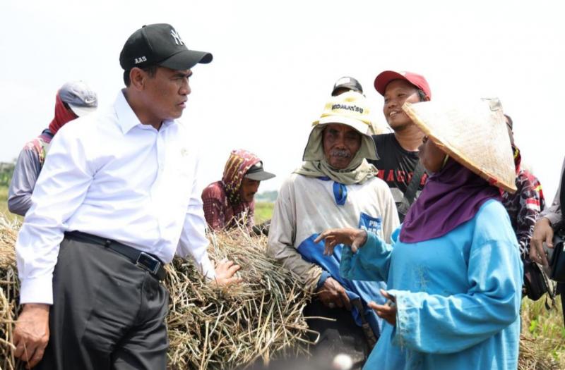 SMKPPN SEMBAWA: Capaian NTP September 2026 sebesar 131,11 melanjutkan tren penguatan yang telah terlihat pada bulan sebelumnya. Pada Agustus 2026, BPS mencatat NTP nasional 129,19 atau meningkat 1,05 persen dibandingkan Juli 2026. 