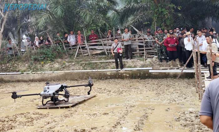 POLBANGTAN BOGOR: Direktur Yoyon Haryanto mendampingi Kepala BPPSDMP Kementan, Idha Widi Arsanti pada Gertam Serempak metode PM-AAS di Kabupaten Muaro Jambi, yang memperlihatkan sebuah Drone Seeder diterbangkan di atas lahan untuk menebarkan benih padi secara langsung, yang diusung Polbangtan Bogor pada Gertam di Provinsi Jambi.