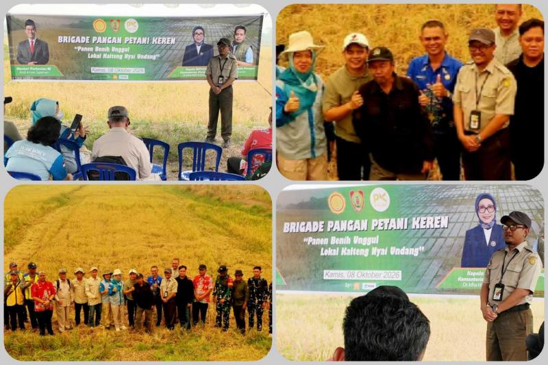 SMKPPN BANJARBARU: Kepala SMKPPN Banjarbaru, Angga Tri A.P. Angga Tri A.P. selaku PJ Brigade Pangan Kalteng apresiasi petani dan Brigade Pangan tetap panen di tengah kepungan asap Karhutla pada lahan panen seluas 10 hektar, dengan hasil ubinan sebesar 3,6 ton, menggunakan Alsintan yakni Combine Harvester di Desa Bina Jaya, Kecamatan Dadahup CSR Blok A1, Kabupaten Kapuas, Kalteng.