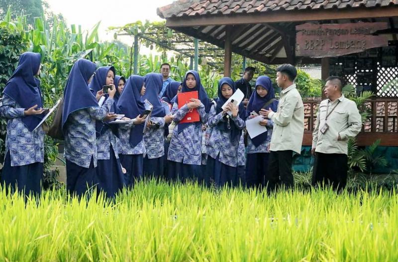 BBPP LEMBANG: Kabalai Lembang, Ahmad Dedy Syathori mengatakan kegiatan dirancang sebagai pembelajaran interaktif, untuk memperdalam pemahaman peserta mengenai aspek teknis dan manajerial pertanian. Materi yang dibahas meliputi Teknologi Pertanian, materi Ekonomi Agribisnis dan Nilai Jual Produk dan materi Pengembangan SDM dan Kelembagaan.